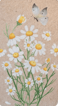 Thumbnail for A Gift Tag - Chamomile Flower and Butterfly Print