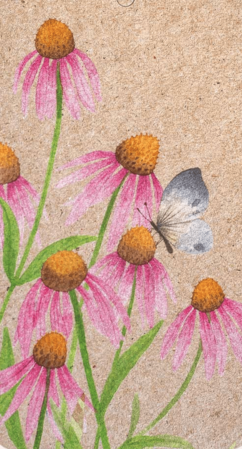 A painting of pink flowers with a butterfly on an A Gift Tag - Echinacea by Sow n Sow.