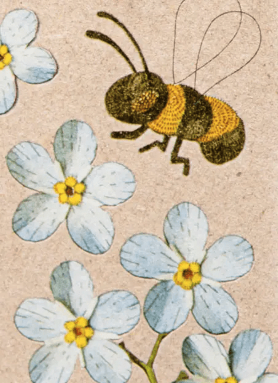 An illustration of a forget-me-not gift tag with a bee and blue flowers, by Sow n Sow.