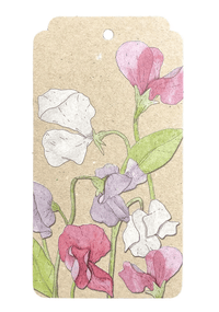 Thumbnail for Sow n Sow - A Gift Tag - Sweet Pea.