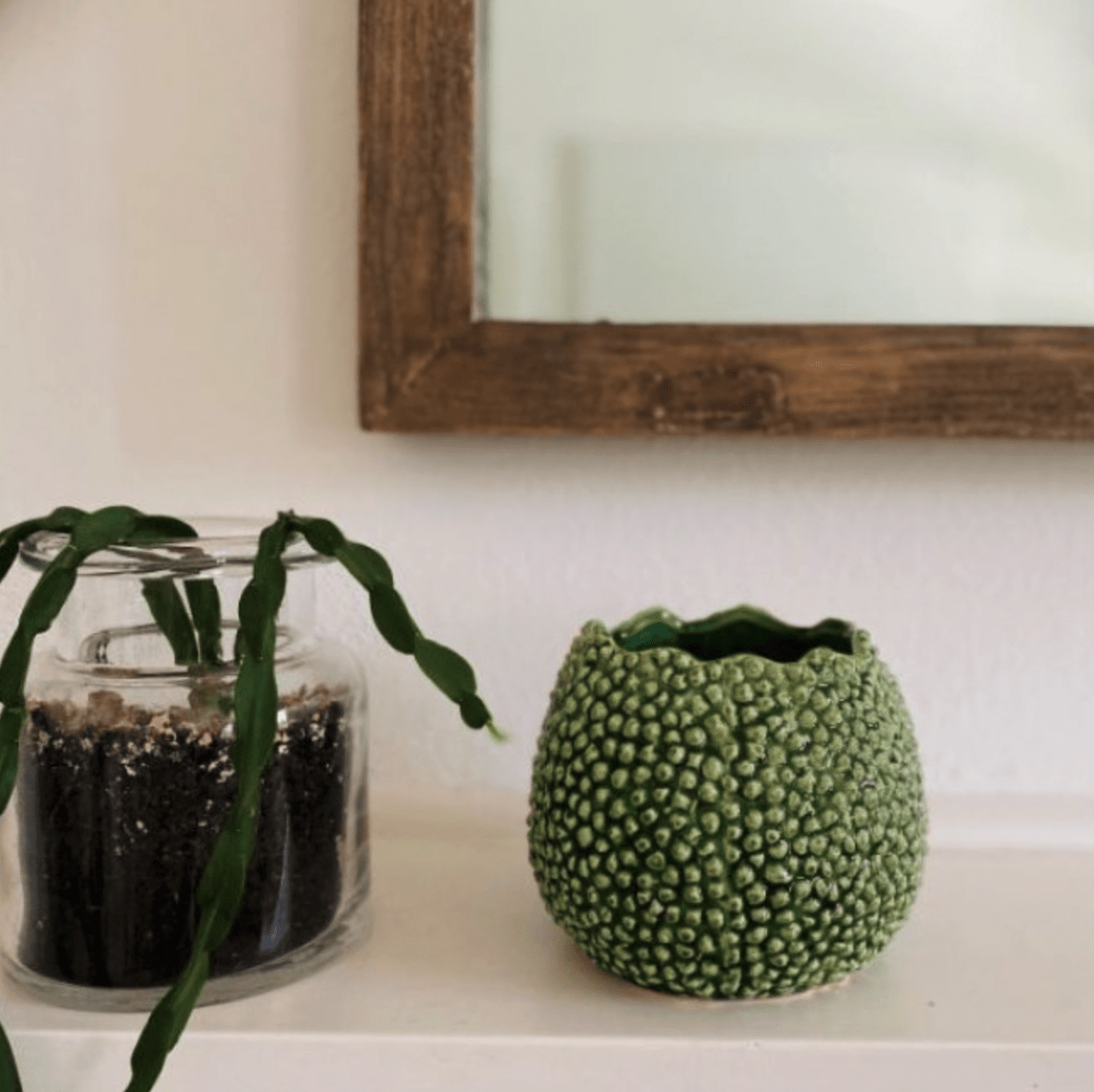 Lychee Vase - Green House of Dudley