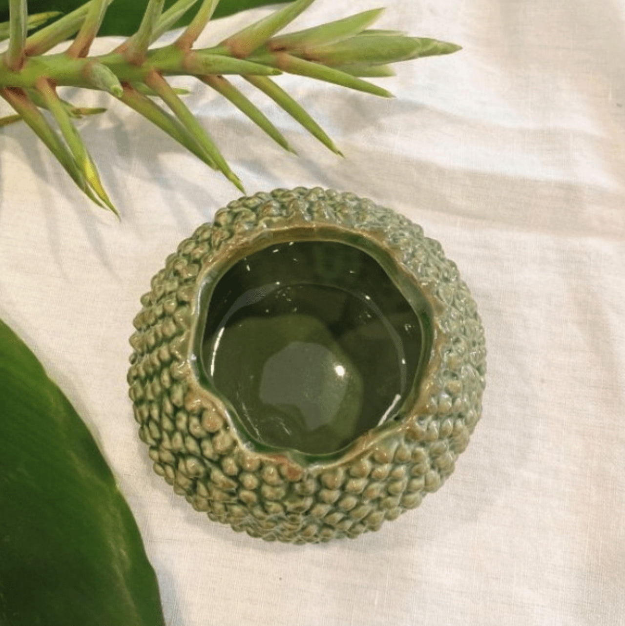 Lychee Vase - Green House of Dudley