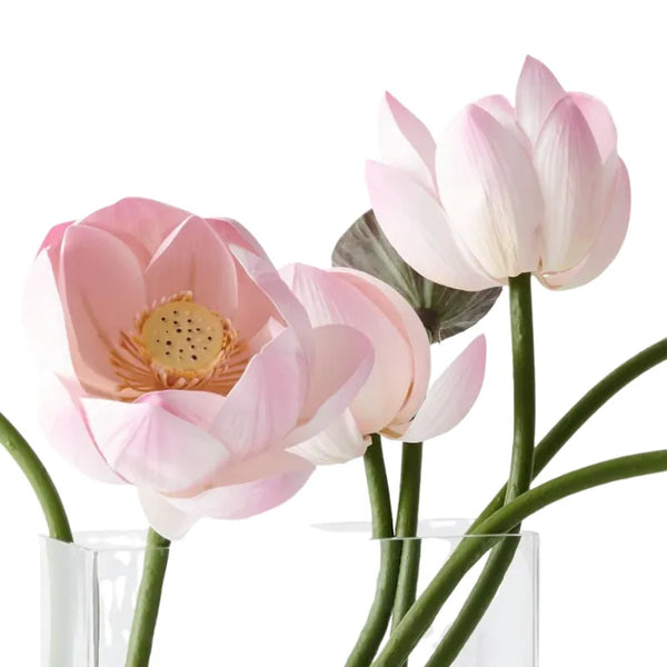 {product_type} – {product_title} by House of Dudley