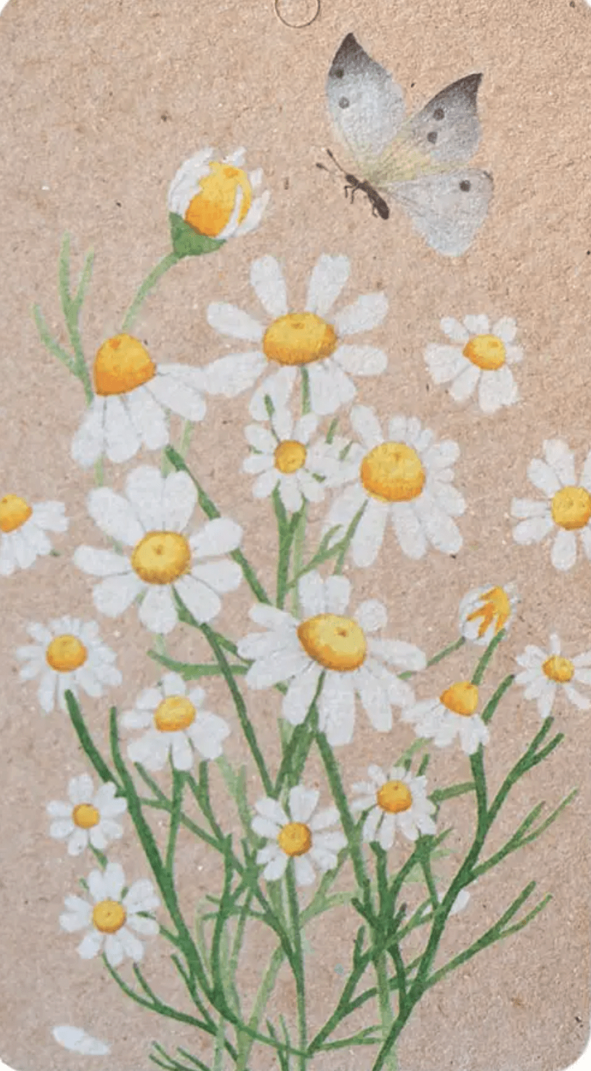 A Gift Tag - Chamomile Flower and Butterfly Print