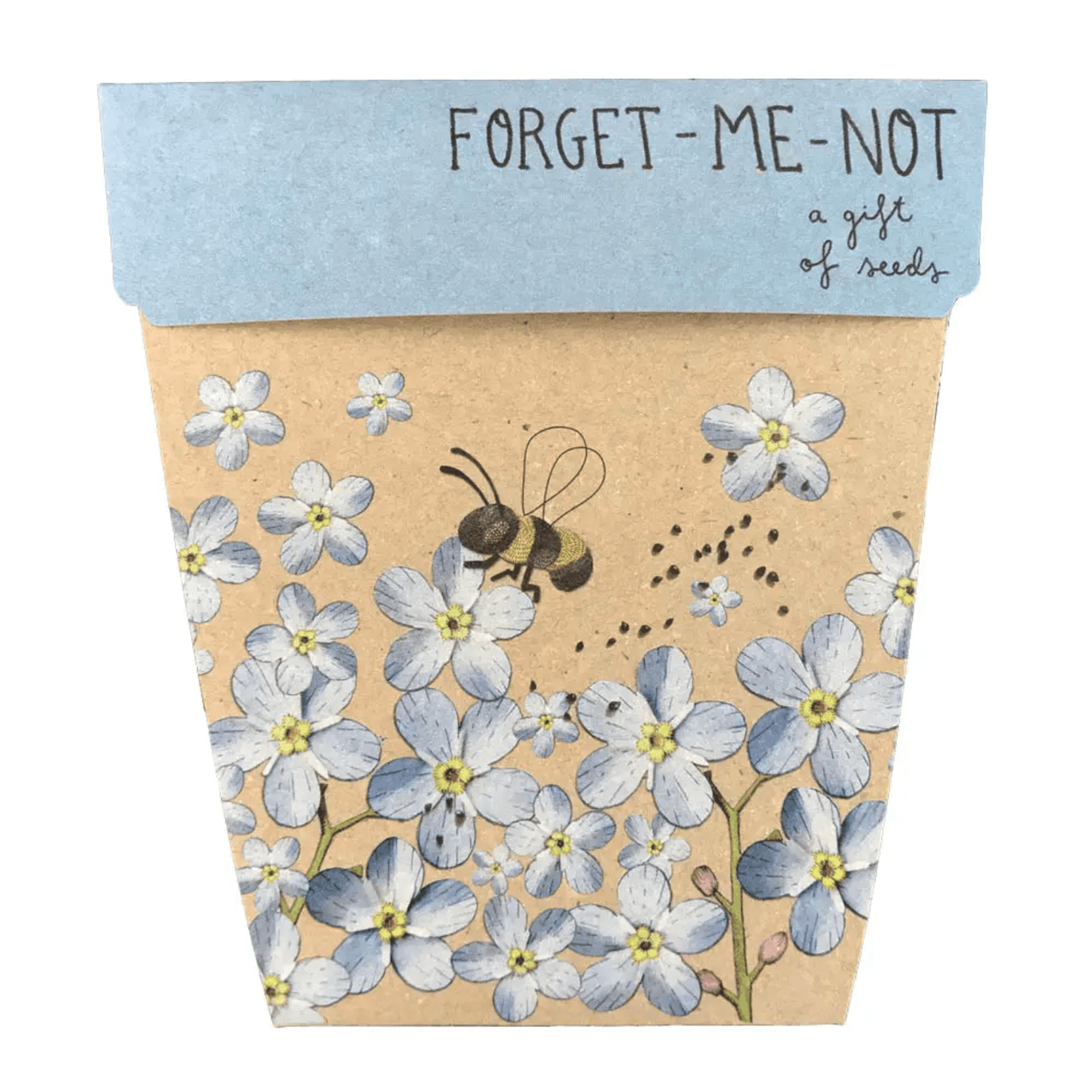 Sow n Sow - Seeds - Forget-me-not flower pot.