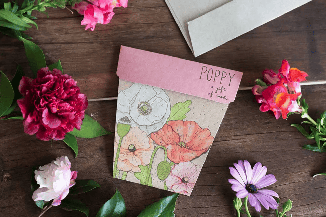 A card with seeds - poppy and a flower pot on a wooden table.