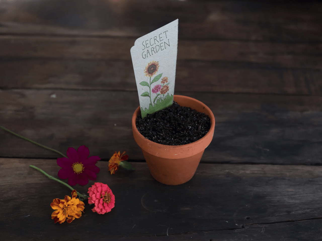 A small pot of Seeds - Secret Garden with a note on it. (Brand: Sow n Sow)