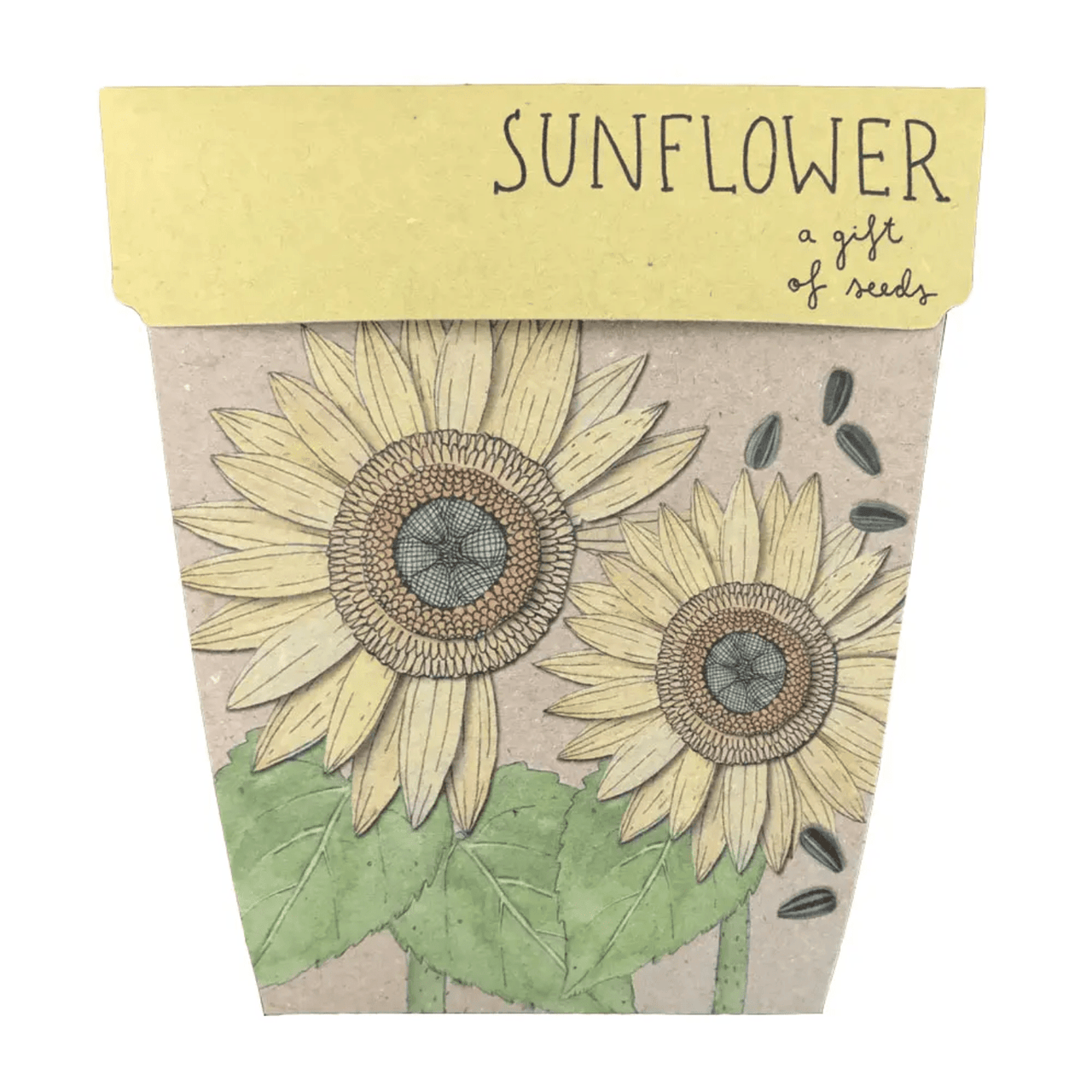 A Sow n Sow sunflower seed packet with a drawing of a sunflower.