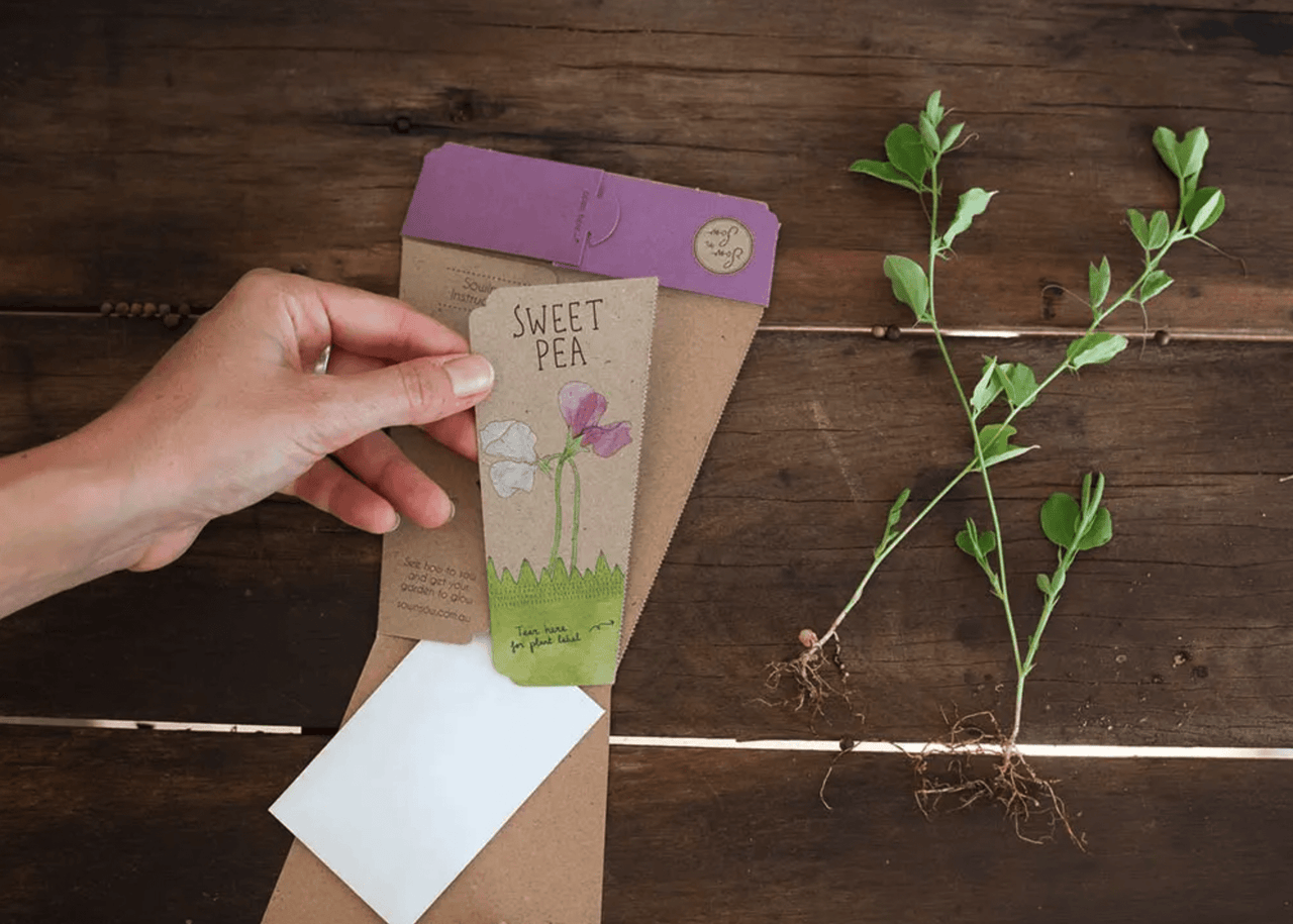 A hand is holding a packet of Sow n Sow - Sweet Pea seeds next to a plant.