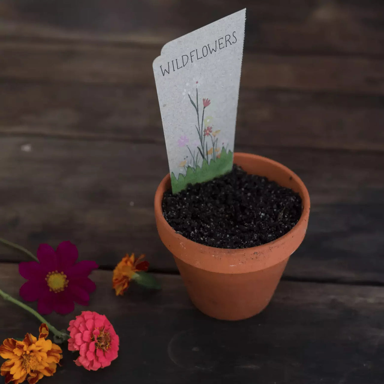 A small pot with Wildflowers seeds and a note on it from Sow n Sow.