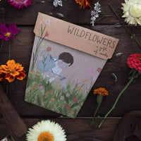 Thumbnail for Sow n Sow Seeds - Sow n Sow Wildflowers kit - Sow n Sow Wildflowers kit - Sow n Sow Wildflowers kit - Sow n Sow Wildflowers kit - Sow n Sow Wildflowers kit -.