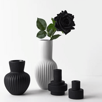 Thumbnail for Collection of vases including the Annix2 vase in black