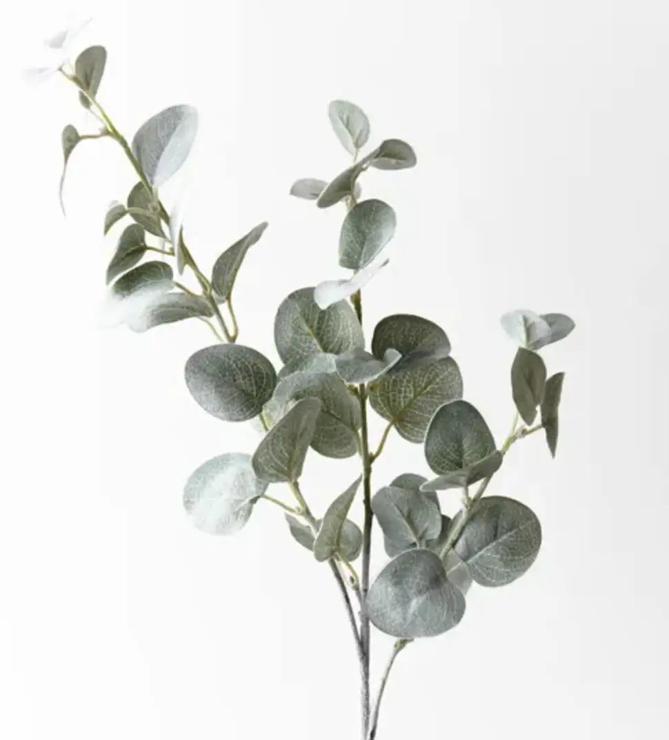 Eucalyptus Spray