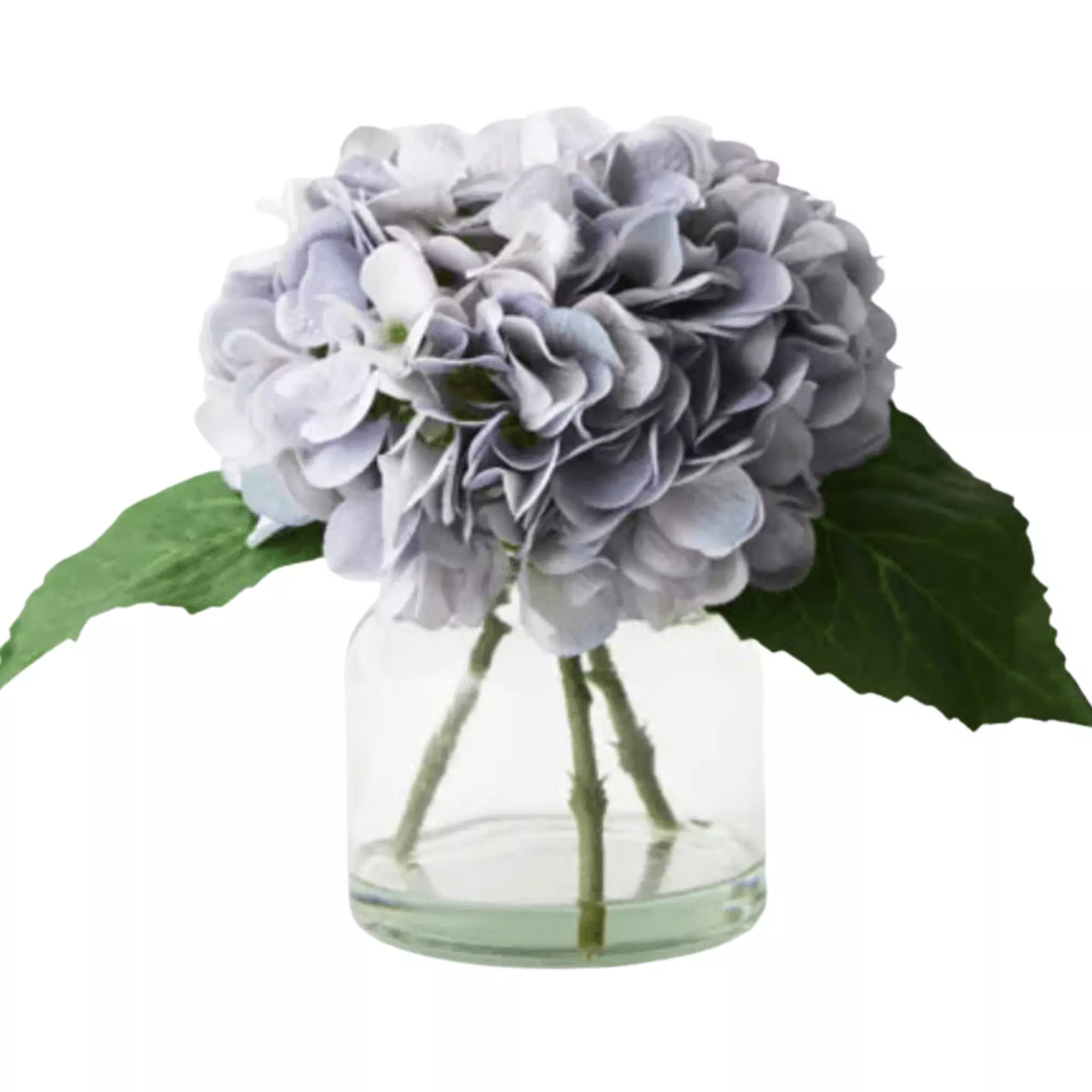 Floral Interiors' Hydrangea in Vase with green leaves.