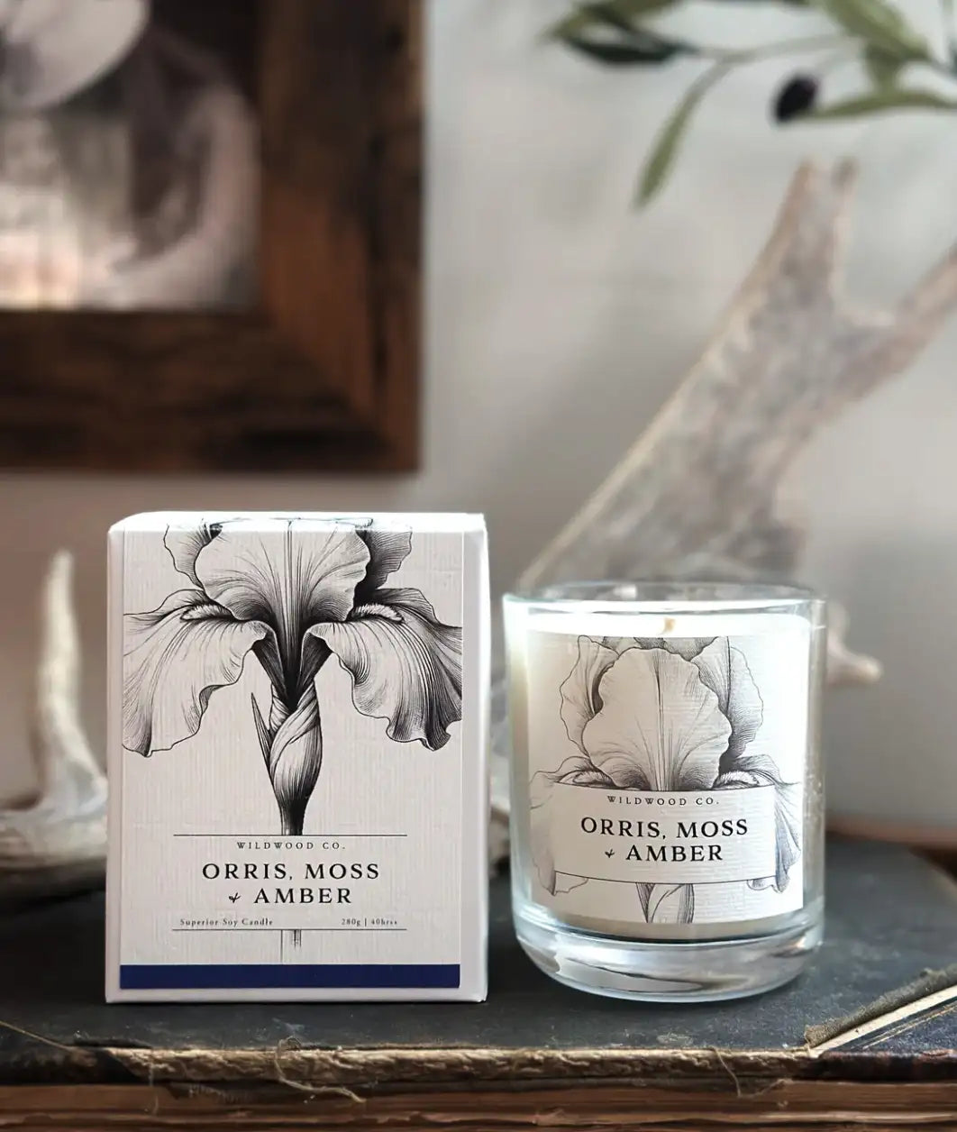 Wildwood Candle - Orris, Moss + Amber