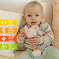 Thumbnail for A baby sits on a couch, smiling and holding the Fehn Rainmaker Mouse by Pilbeam. Four icons with German, English, and French label senses—vision, hearing, grasp, logic—with matching symbols and colored bars to the left.