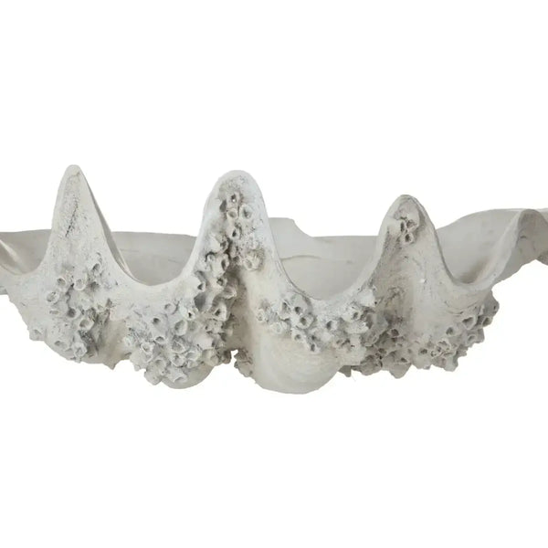 Rogue Seychelles Clam Vessel – High quality House of Dudley homewares