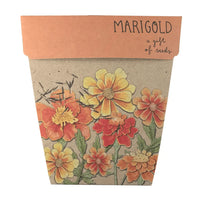 Thumbnail for Seeds - Marigolds – High quality House of Dudley homewares