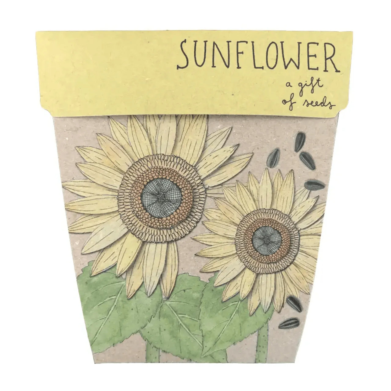 Seeds - Sunflower – High quality House of Dudley homewares
