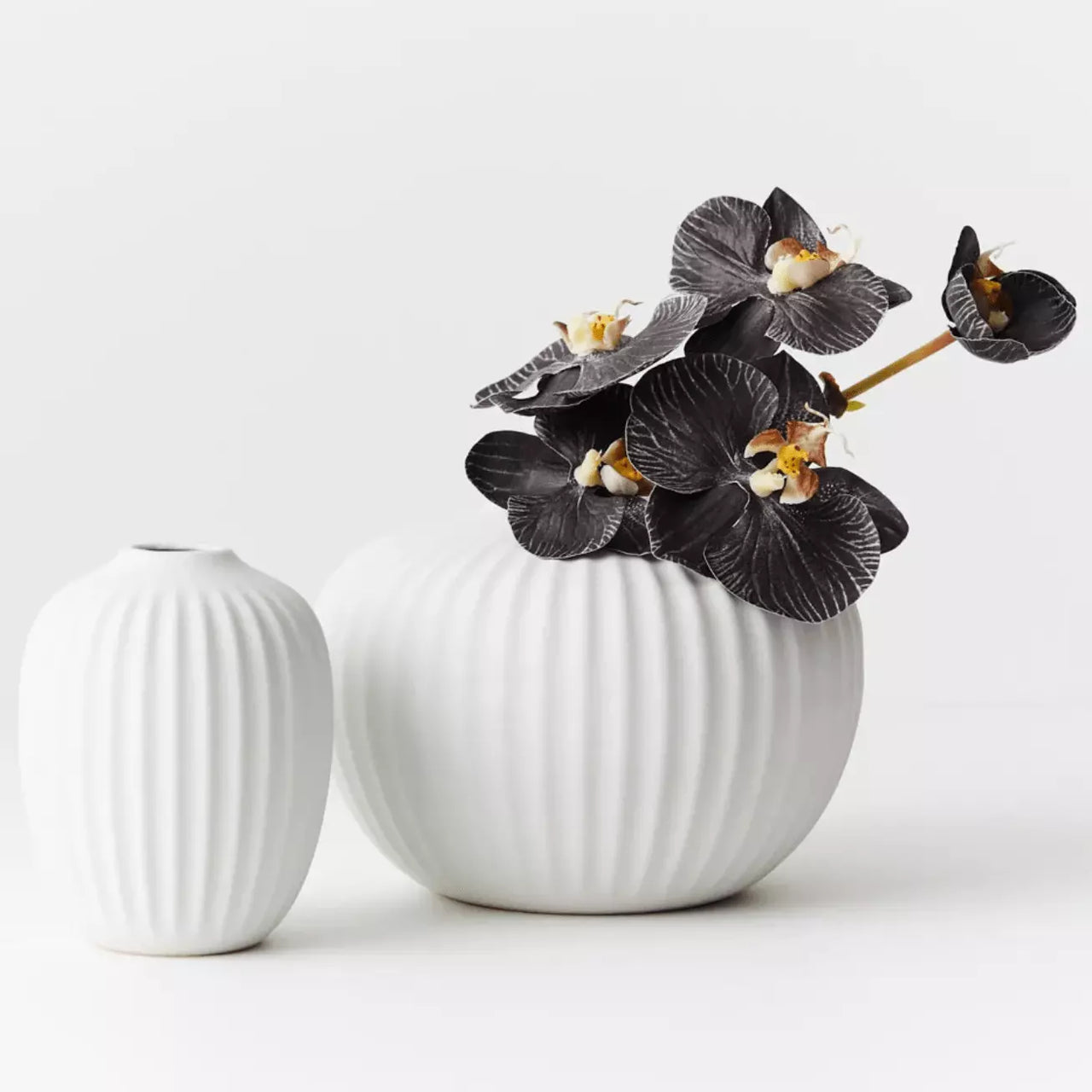 Two Floral Interiors Taza Vases - White with black flowers in them.
