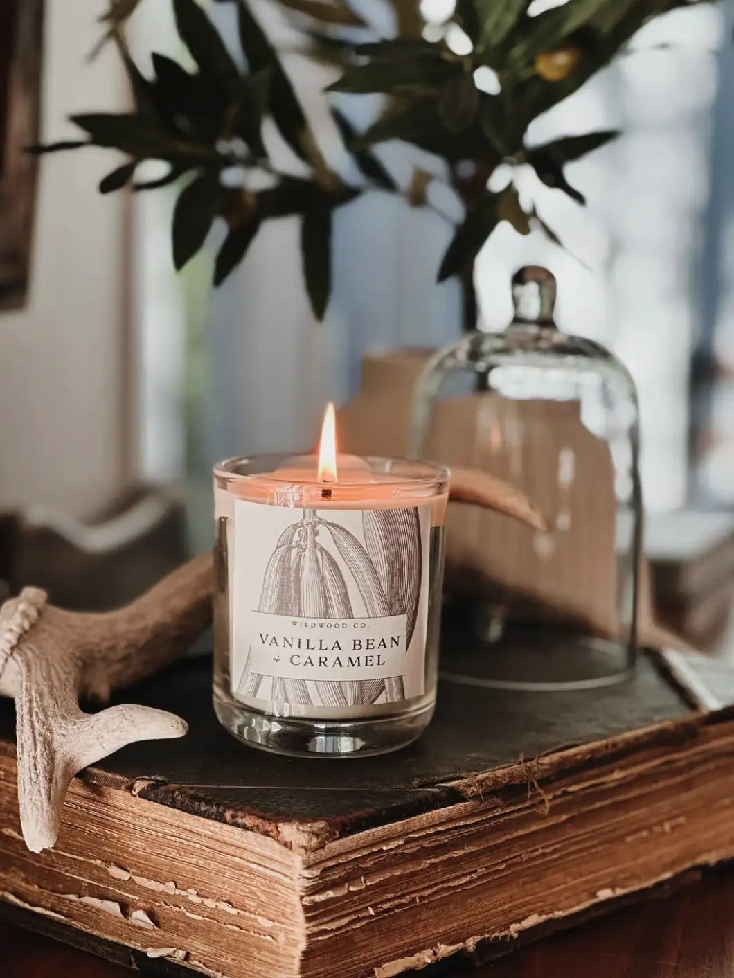 Wildwood Candle - Vanilla Bean + Caramel