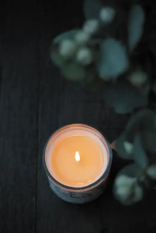 Wildwood Candle - Vanilla Bean + Caramel