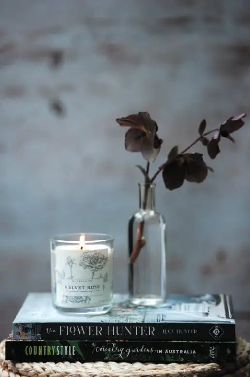Wildwood Candle - Velvet Rose + Clove