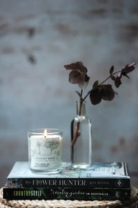 Thumbnail for Wildwood Candle - Velvet Rose + Clove