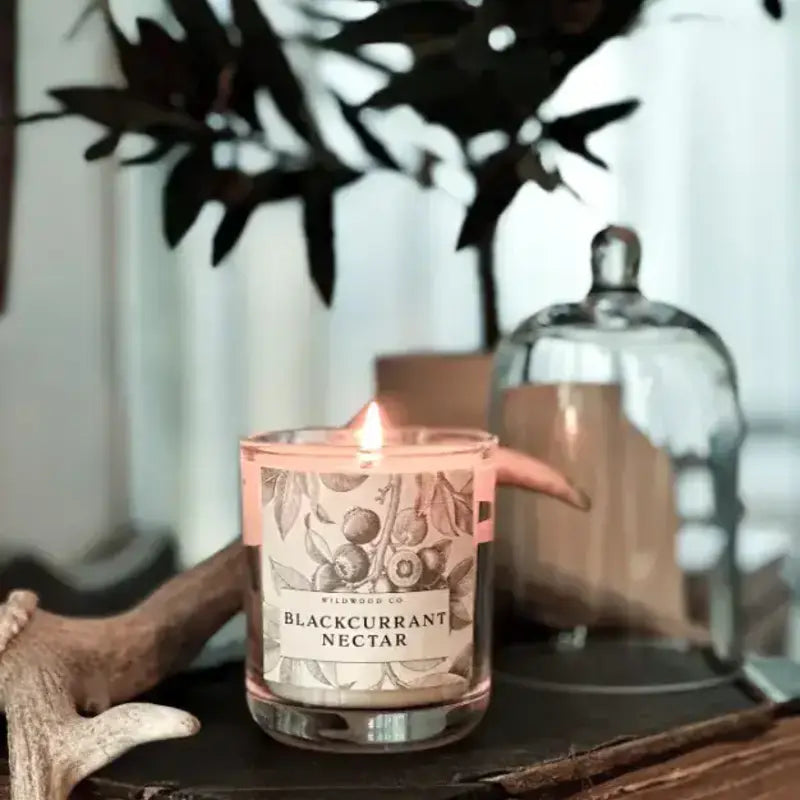 Wildwood Candle - Blackcurrant Nectar