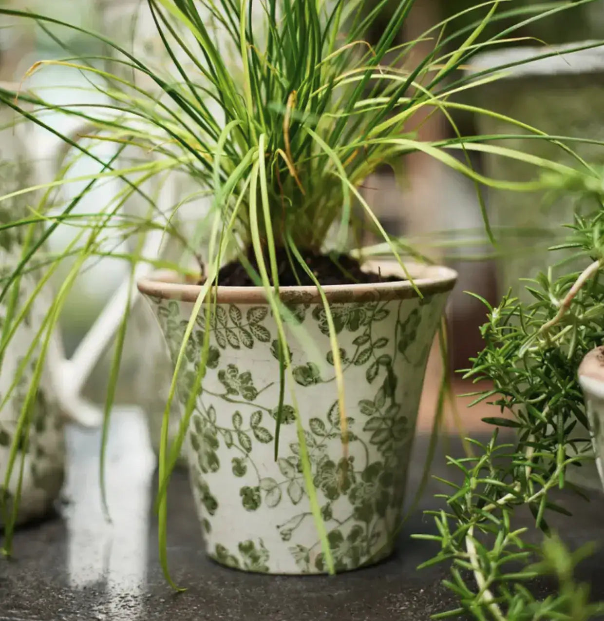 Botanical Fluted Pot