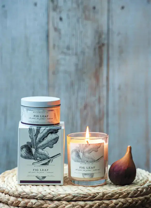 Wildwood Candle - Fig Leaf + Cedar