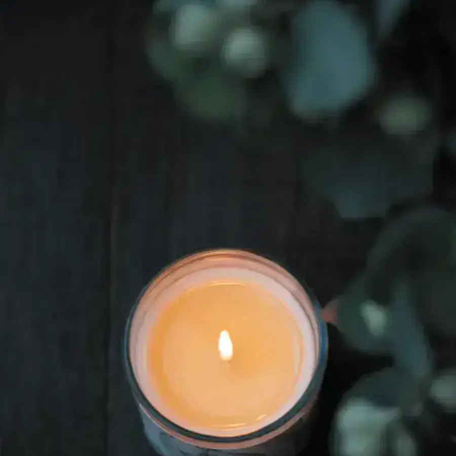 Wildwood Candle - Lime, Basil + Mandarin