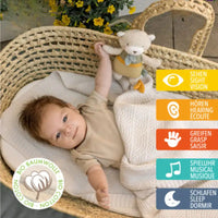 Thumbnail for A baby lies in a wicker bassinet, holding the Pilbeam FehnNATUR Mini Musical Bear. Text and icons highlight sensory skills—vision, hearing, grasp, music, and sleep. An Organic Cotton label appears at the bottom left.