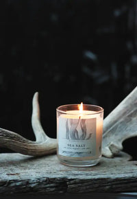 Thumbnail for Wildwood Candle - Sea Salt + Sage