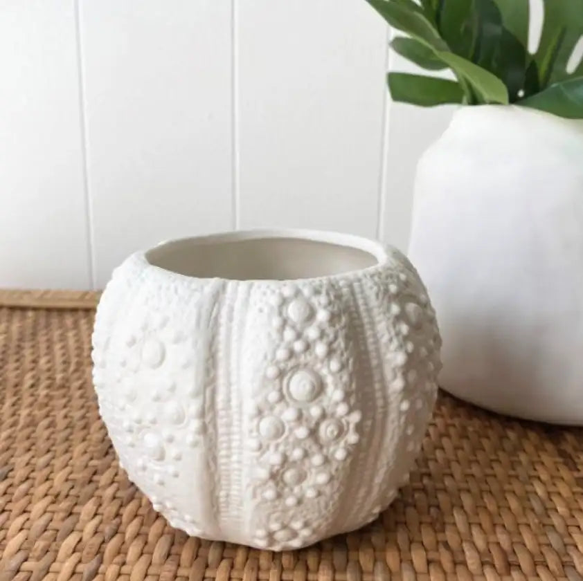 Sea Urchin Vase